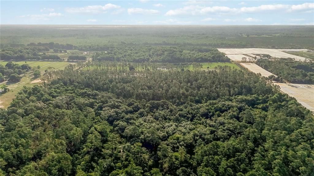 For Sale: $1,500,000 (20.54 acres)