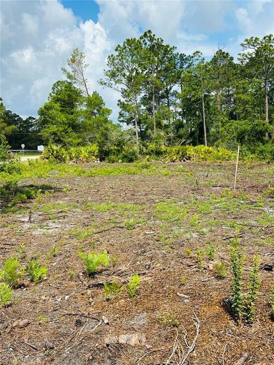 待售: $49,900 (0.26 acres)