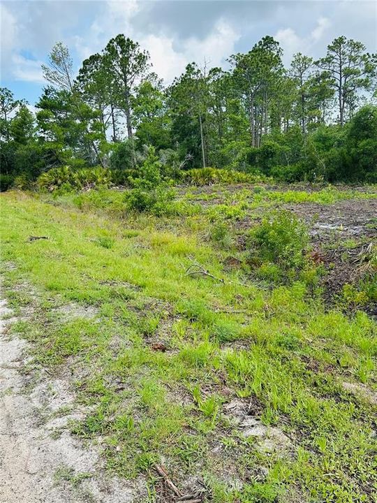 待售: $49,900 (0.26 acres)
