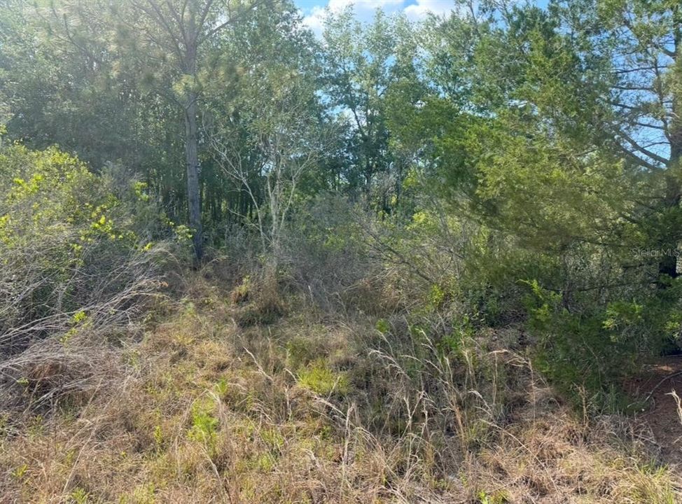 En Venta: $69,000 (1.16 acres)