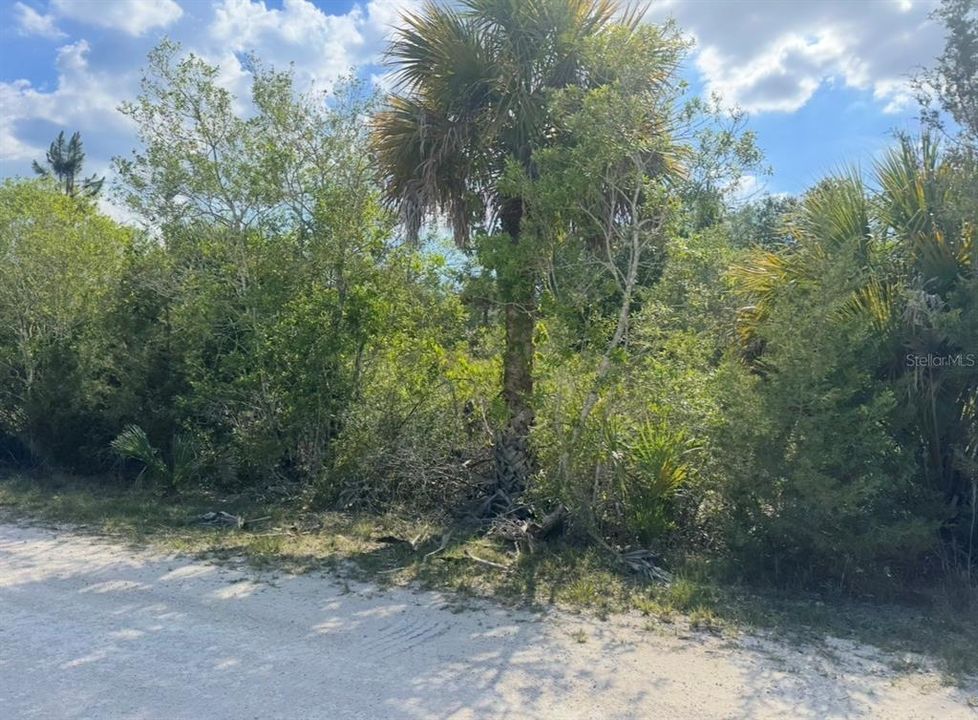 En Venta: $69,000 (1.16 acres)