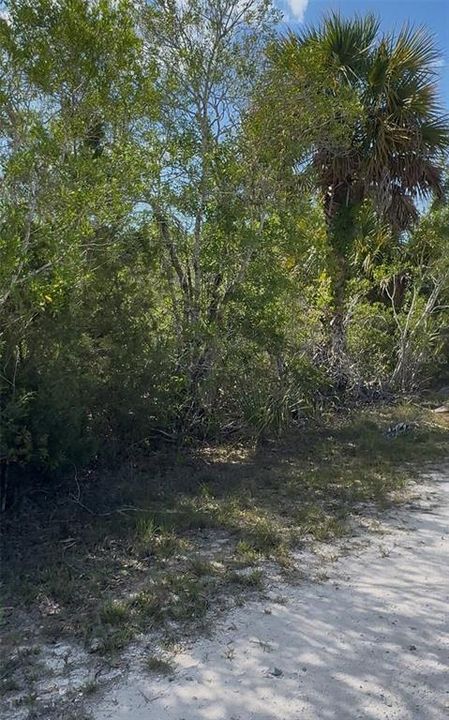 En Venta: $69,000 (1.16 acres)