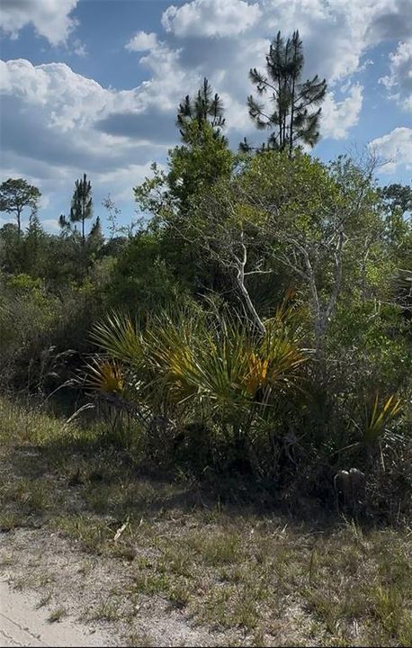 En Venta: $69,000 (1.16 acres)