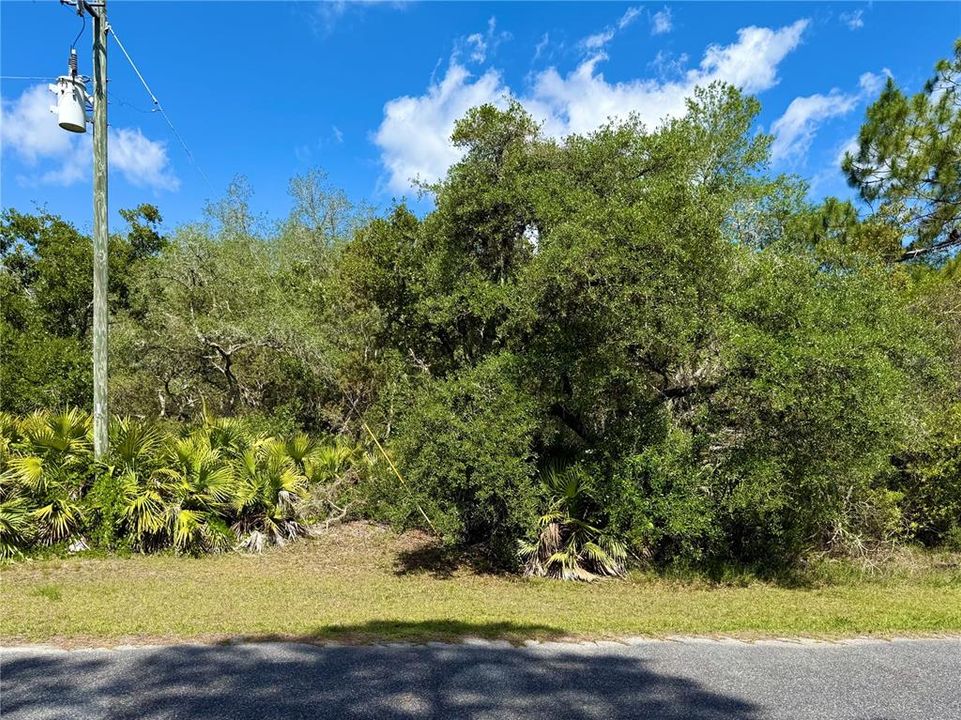 На продажу: $110,000 (1.01 acres)