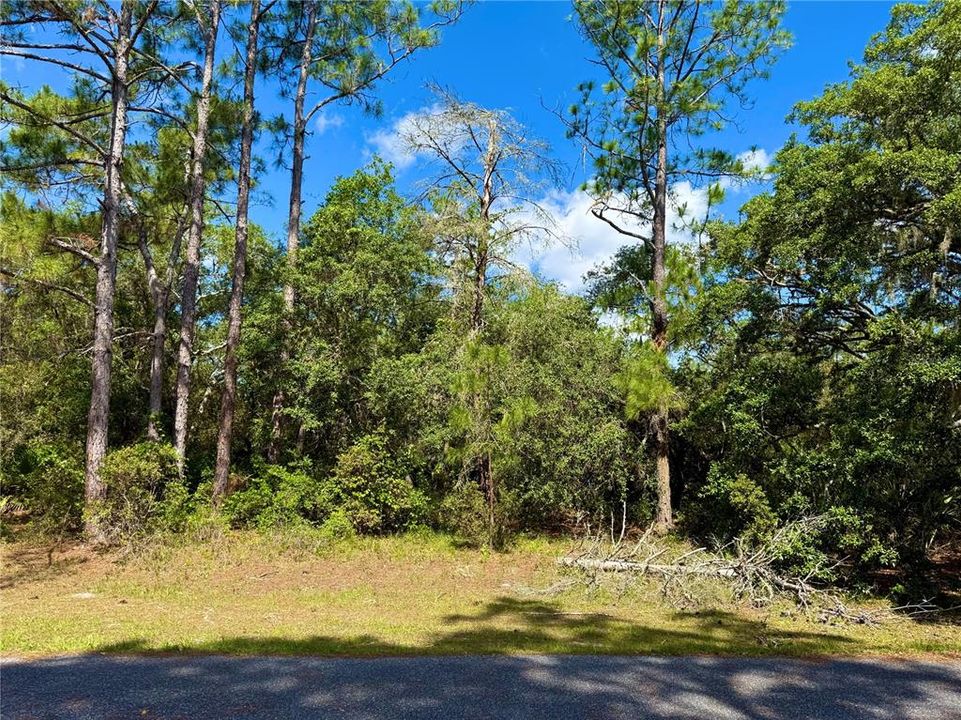 На продажу: $110,000 (1.01 acres)