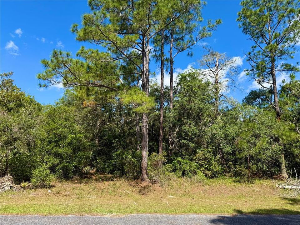 На продажу: $110,000 (1.01 acres)