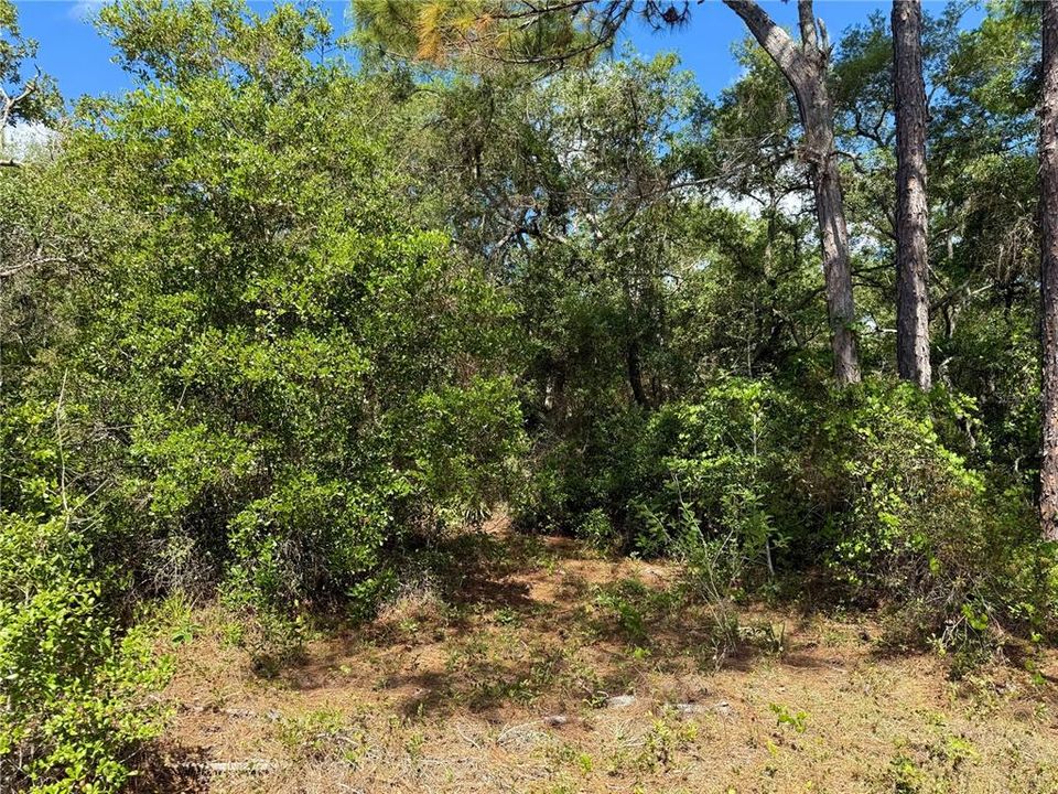 На продажу: $110,000 (1.01 acres)