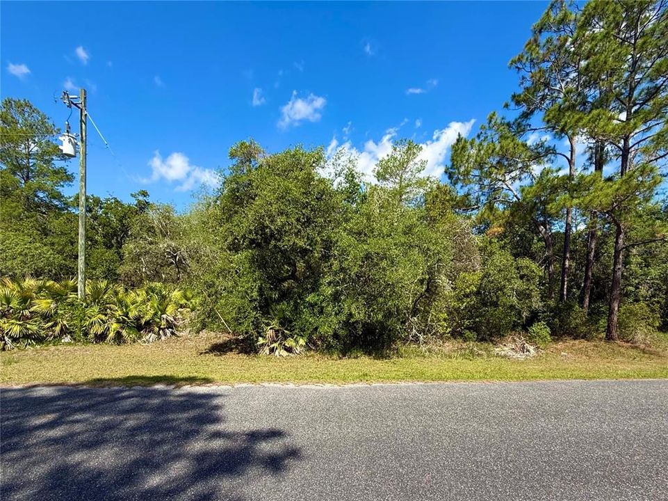 На продажу: $110,000 (1.01 acres)