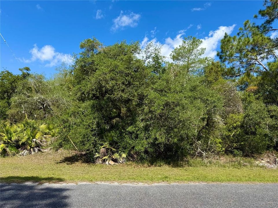 На продажу: $110,000 (1.01 acres)