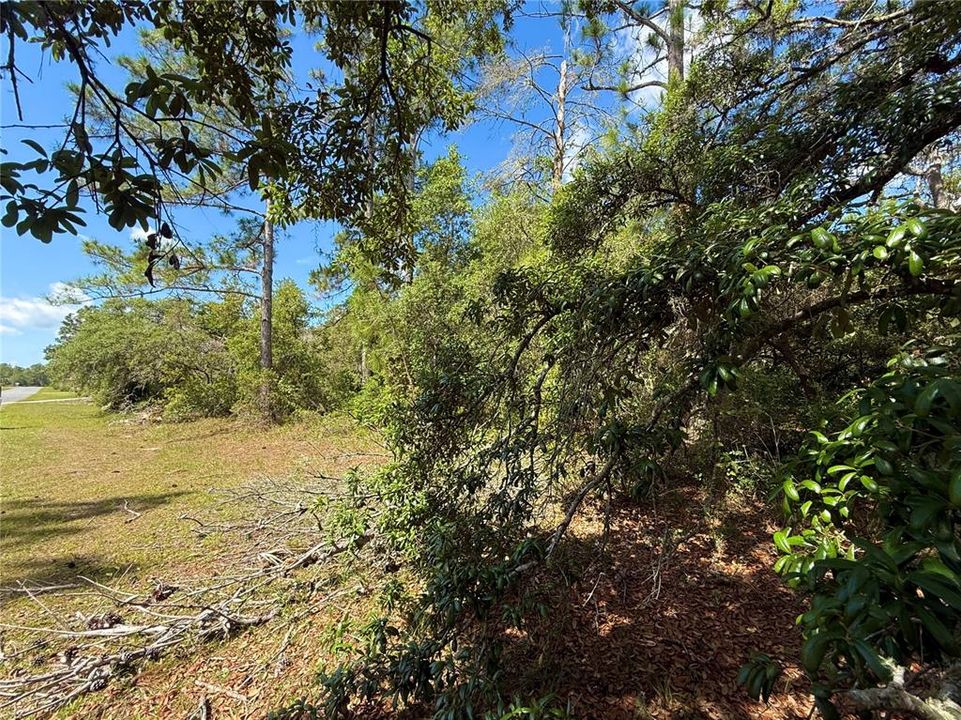 На продажу: $110,000 (1.01 acres)