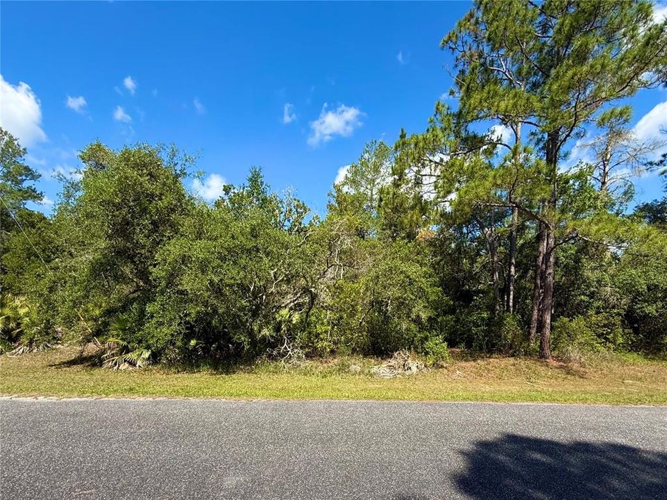 На продажу: $110,000 (1.01 acres)