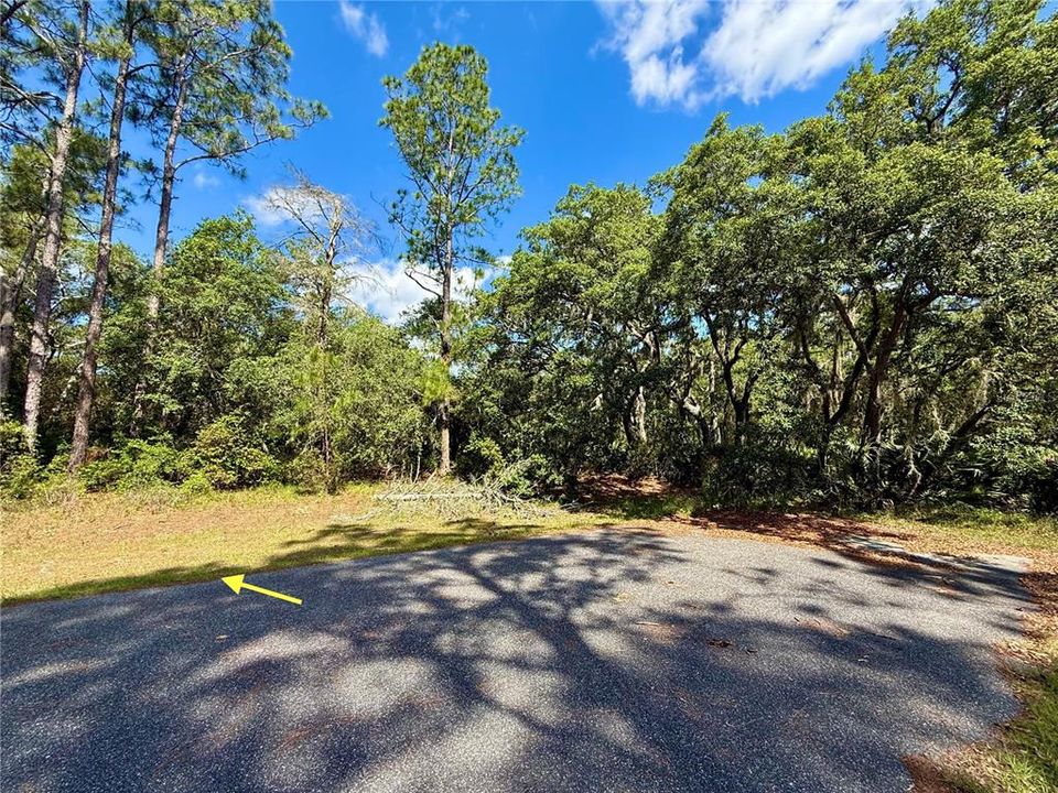 На продажу: $110,000 (1.01 acres)