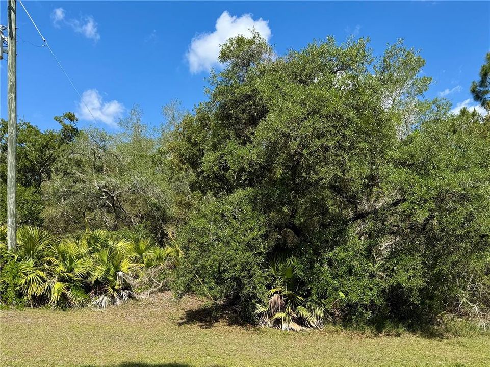На продажу: $110,000 (1.01 acres)