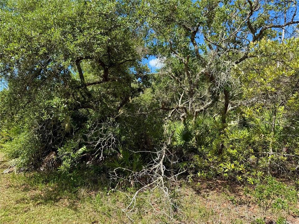 На продажу: $110,000 (1.01 acres)