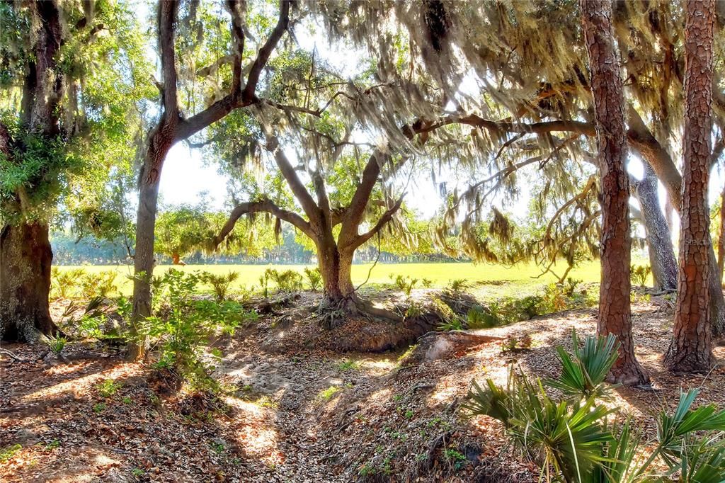 На продажу: $1,200,000 (20.00 acres)