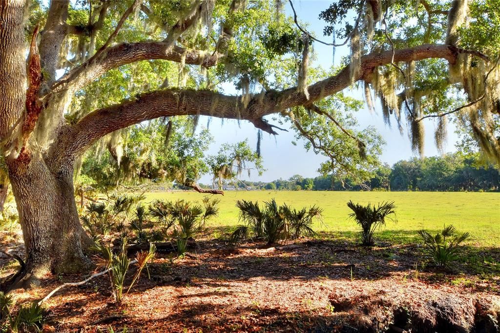 На продажу: $1,200,000 (20.00 acres)