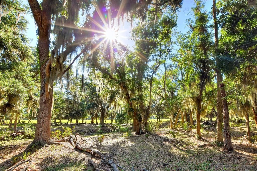 На продажу: $1,200,000 (20.00 acres)