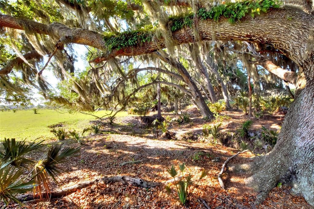 На продажу: $1,200,000 (20.00 acres)
