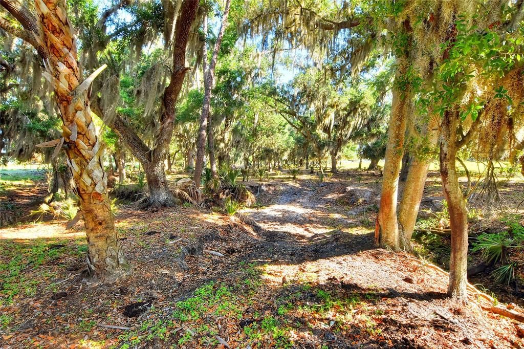На продажу: $1,200,000 (20.00 acres)