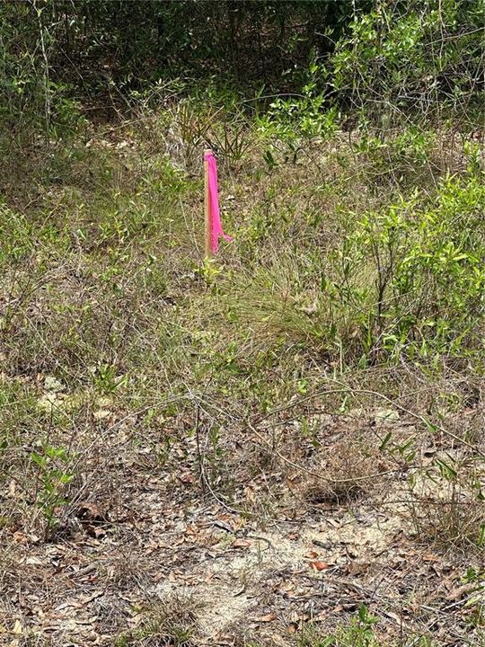 For Sale: $27,999 (0.53 acres)