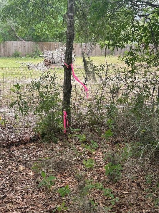 For Sale: $27,999 (0.53 acres)