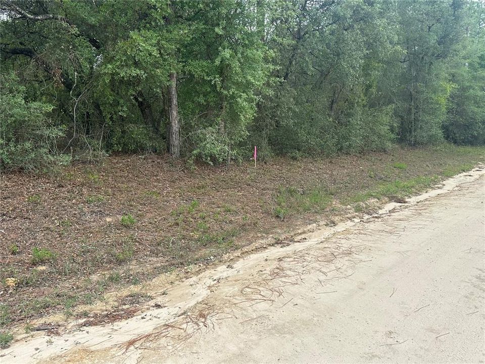 For Sale: $27,999 (0.53 acres)