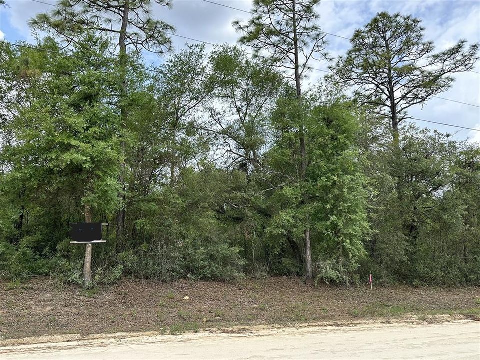 For Sale: $27,999 (0.53 acres)