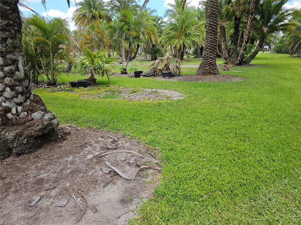На продажу: $1,800,000 (8.98 acres)