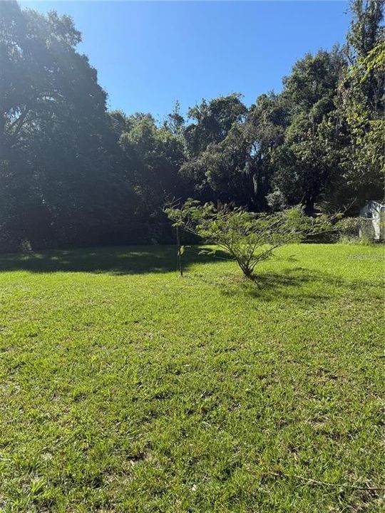 For Sale: $120,000 (1 beds, 1 baths, 520 Square Feet)