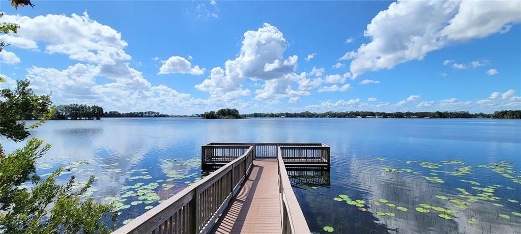 В аренду: $3,900 (5 спален, 4 ванн, 3227 Квадратных фут)