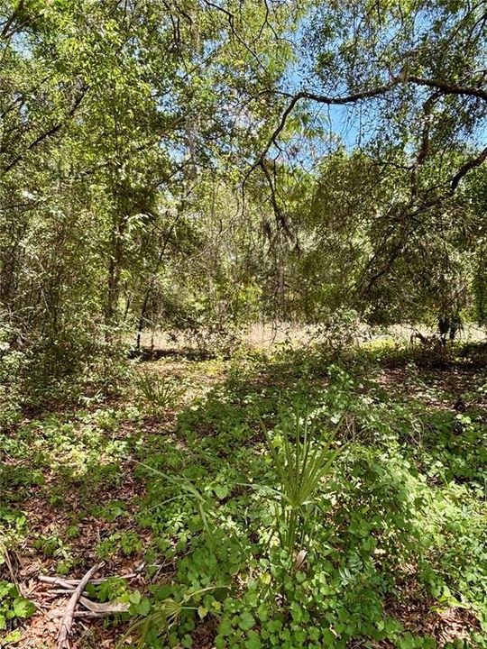 На продажу: $22,000 (0.25 acres)