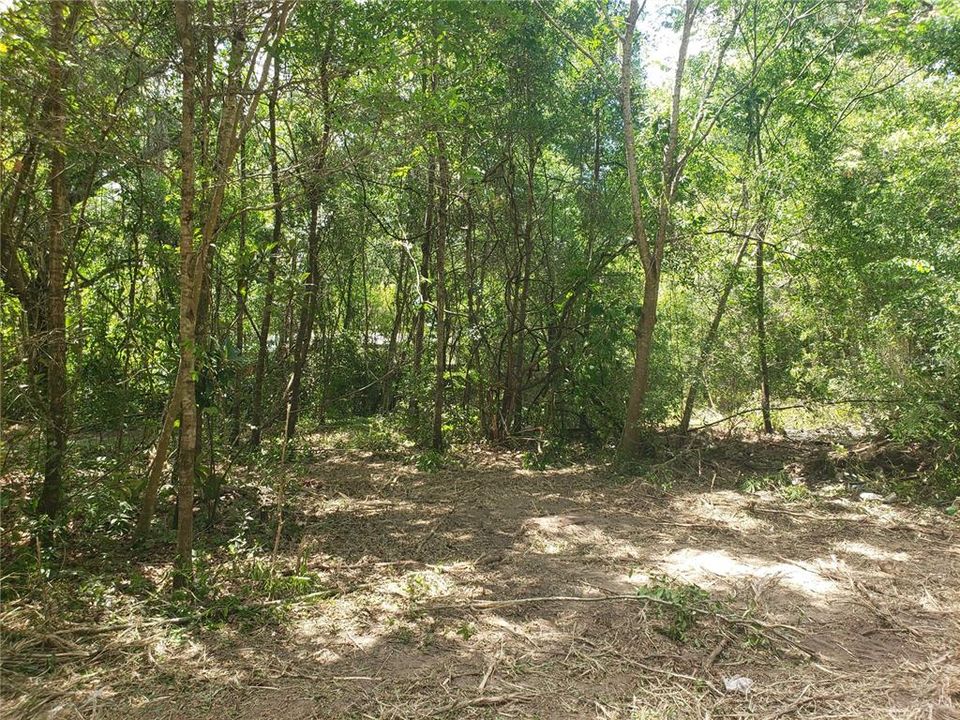En Venta: $99,000 (2 camas, 1 baños, 1008 Pies cuadrados)