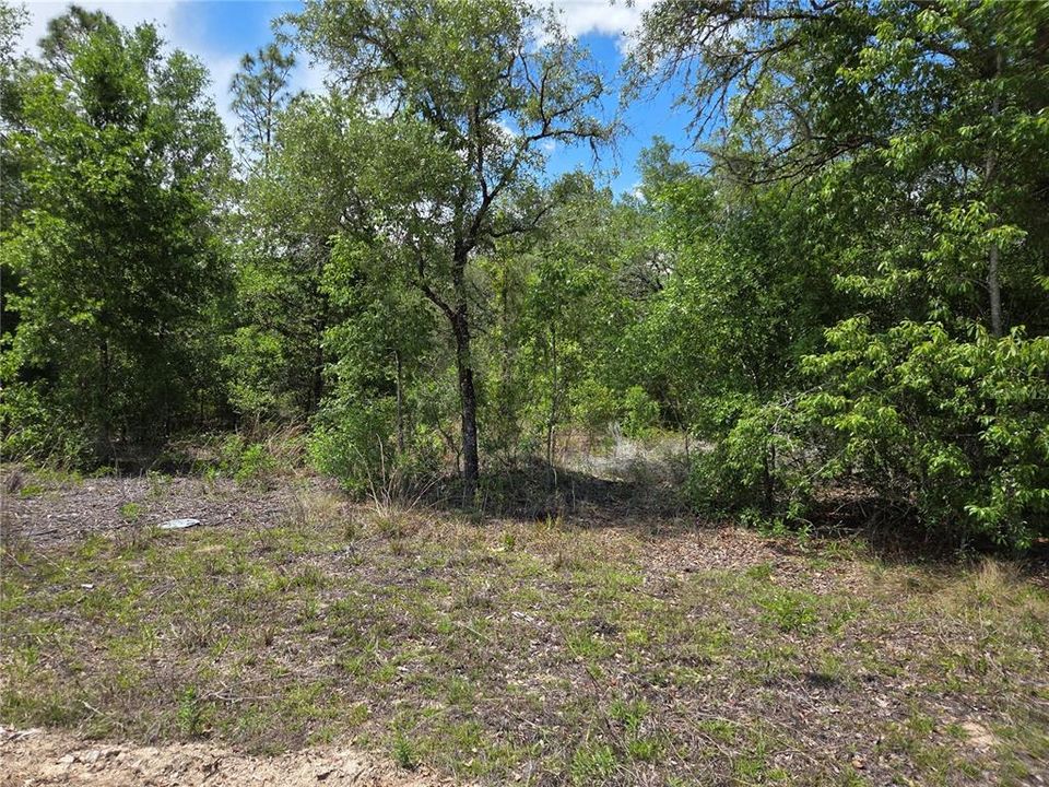 For Sale: $60,000 (2.50 acres)