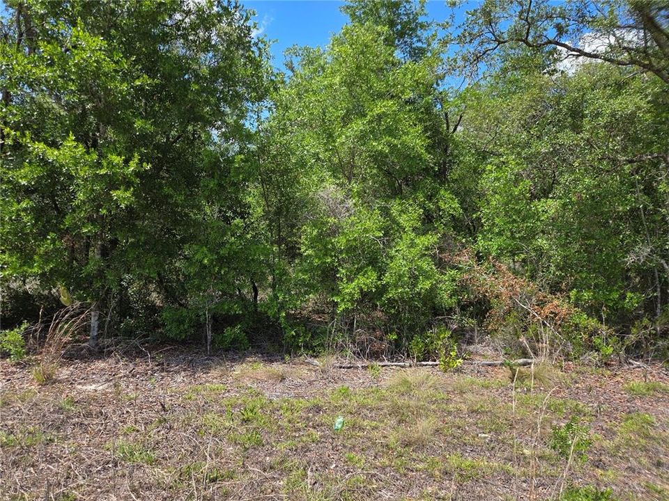 For Sale: $60,000 (2.50 acres)