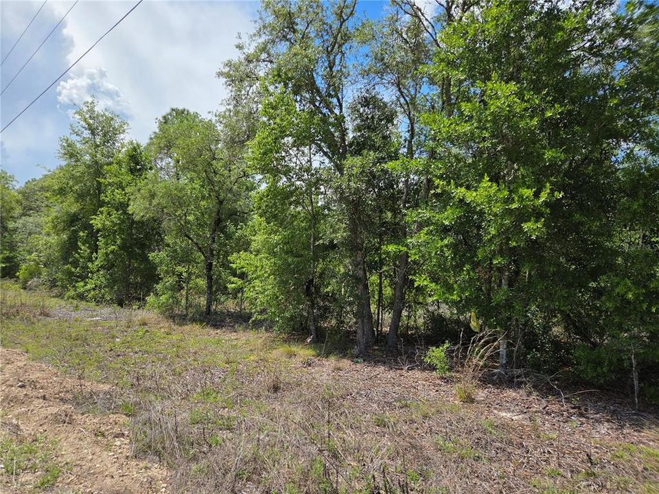 For Sale: $60,000 (2.50 acres)