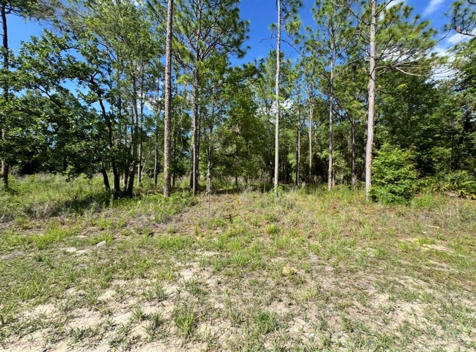 En Venta: $49,000 (0.51 acres)