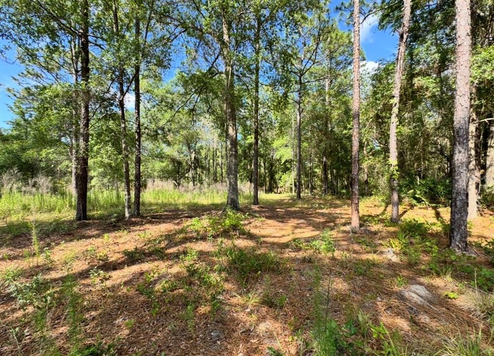 En Venta: $49,000 (0.51 acres)
