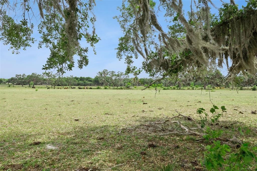En Venta: $220,000 (3 camas, 2 baños, 1250 Pies cuadrados)