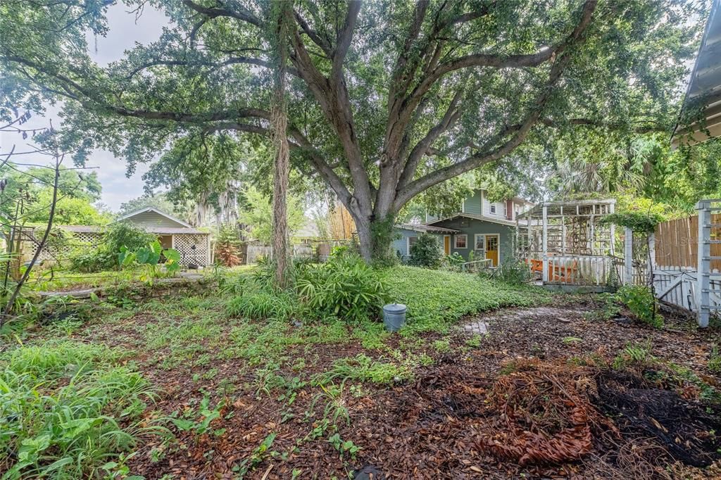 For Sale: $389,000 (3 beds, 1 baths, 1924 Square Feet)