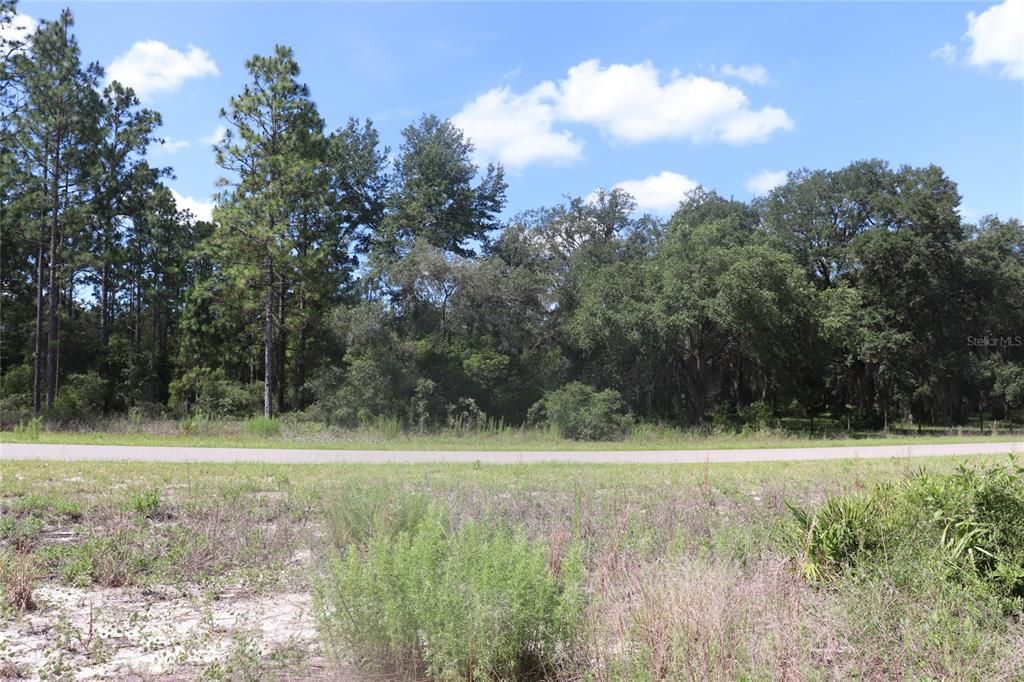 For Sale: $34,900 (1.01 acres)