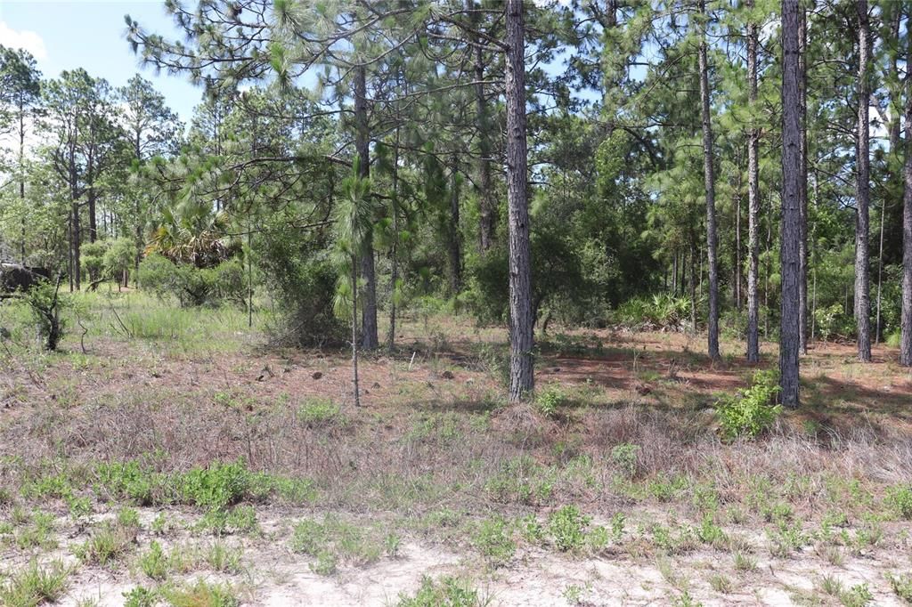 For Sale: $34,900 (1.01 acres)