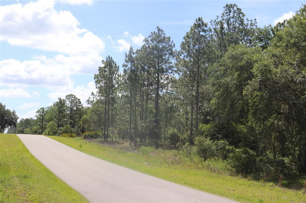 For Sale: $34,900 (1.01 acres)
