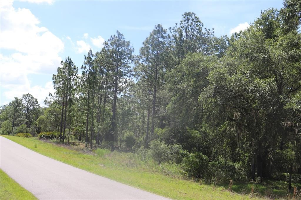 For Sale: $34,900 (1.01 acres)