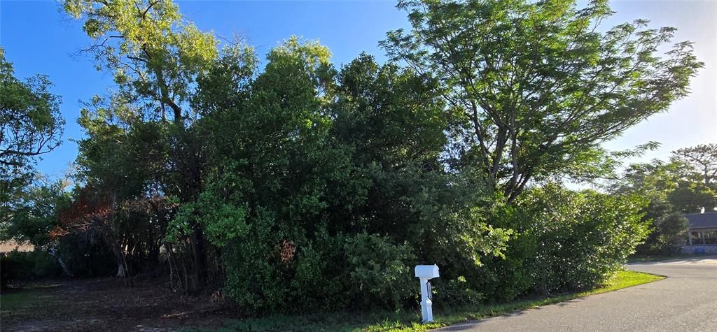 Activo con contrato: $63,500 (0.32 acres)