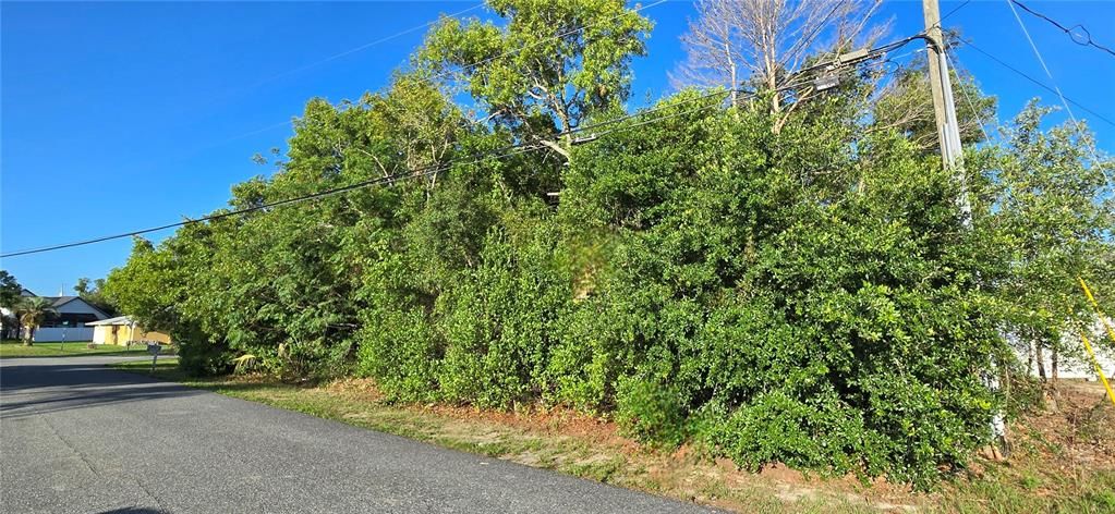Activo con contrato: $63,500 (0.32 acres)