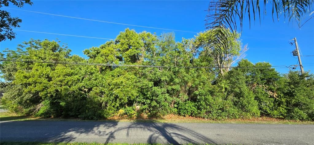Activo con contrato: $63,500 (0.32 acres)