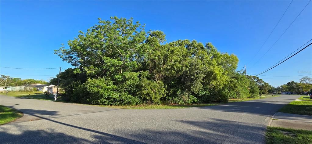 Activo con contrato: $63,500 (0.32 acres)