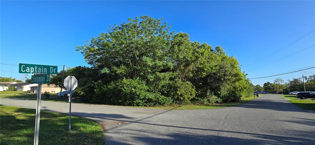 Activo con contrato: $63,500 (0.32 acres)