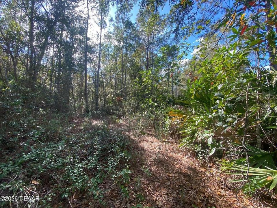 En Venta: $240,000 (10.44 acres)