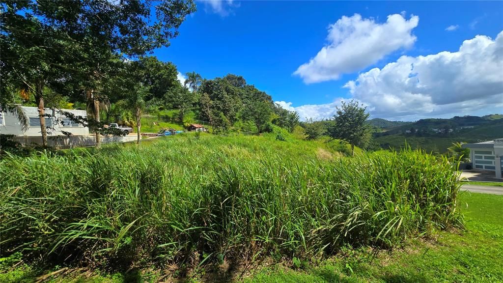 最近售出: $57,500 (0.28 acres)